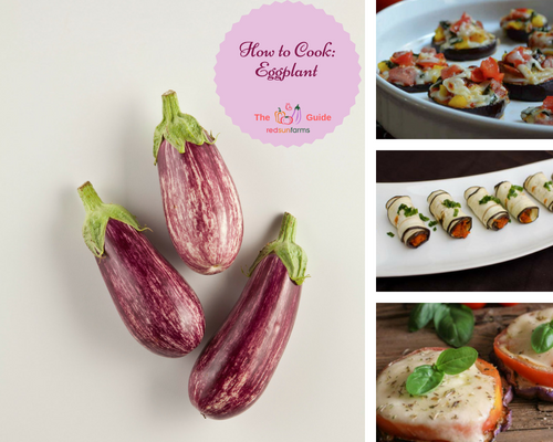 How to Cook Eggplant Guide